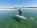 ElementFish -  Kite- und Surf- und SUPcamp Portugal 